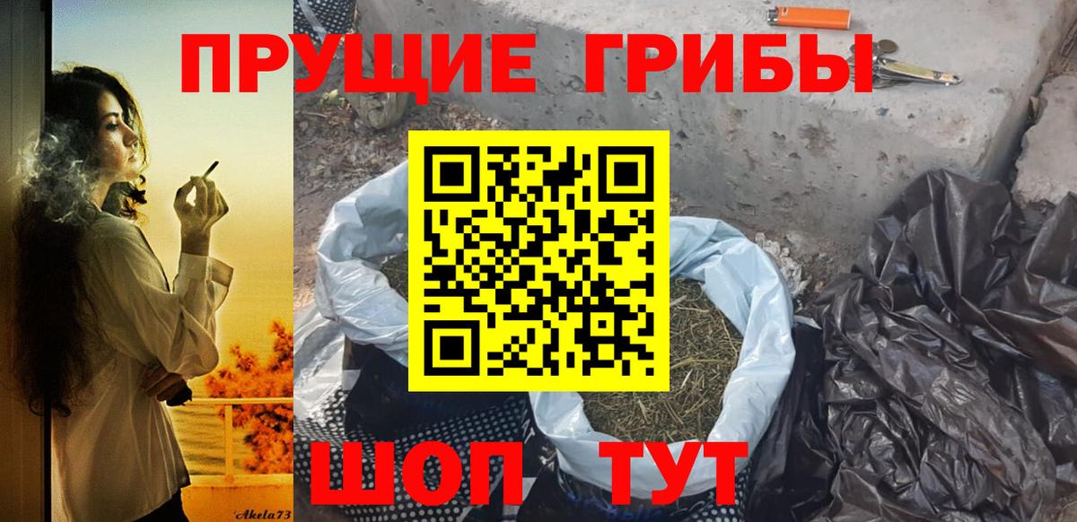 Псилоцибиновые грибы Psilocybe Корсаков