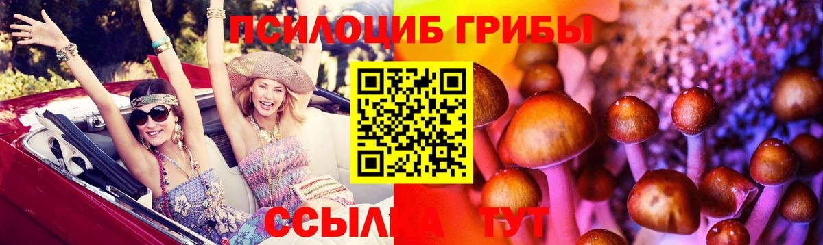 хочу наркоту  Псилоцибиновые грибы MAGIC MUSHROOMS  Вход с VPN  Корсаков 